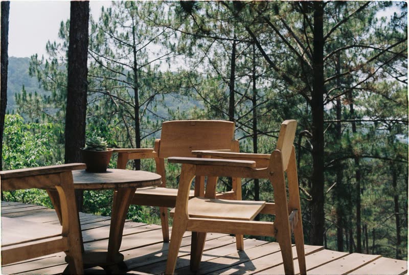 Wood deck with a table and chairs among pine trees